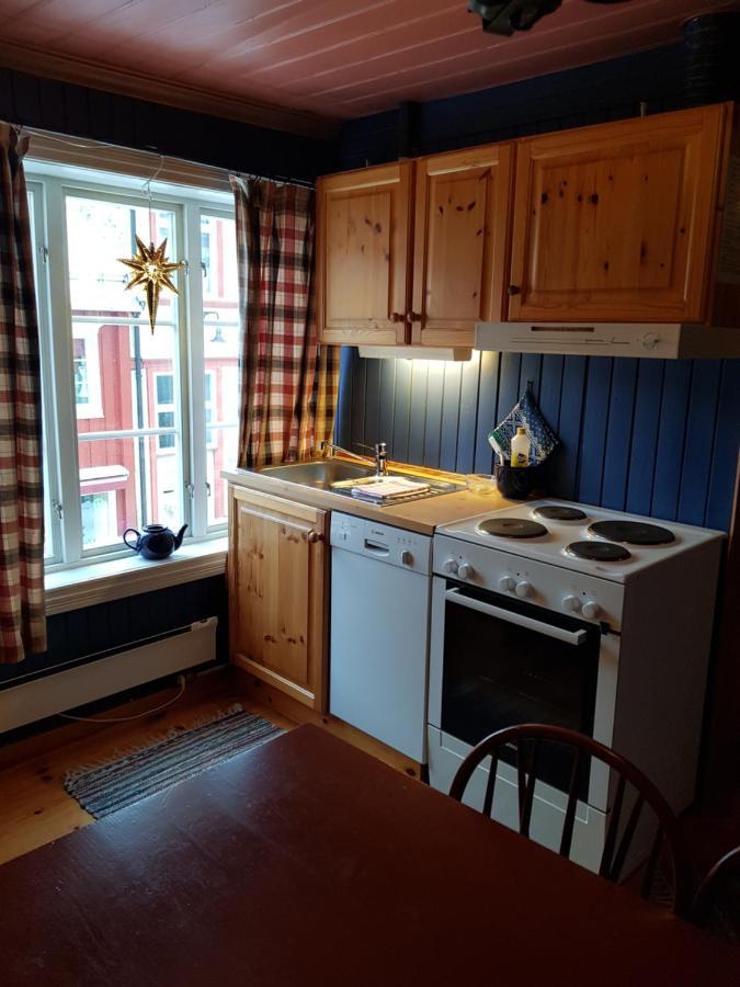 Apartament Houmbgaarden Røros Zewnętrze zdjęcie