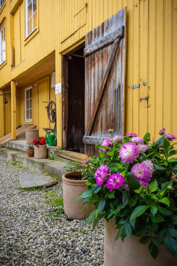 Apartament Houmbgaarden Røros Zewnętrze zdjęcie